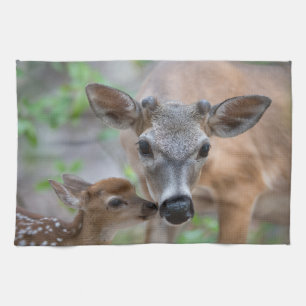 Cutest Baby Animals   Key Deer Stag & Fawn Tea Towel
