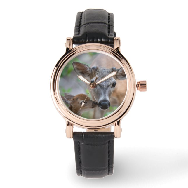 Cutest Baby Animals | Key Deer Stag & Fawn Watch (Front)