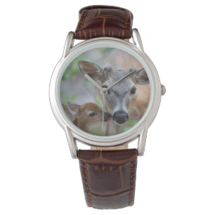 Cutest Baby Animals   Key Deer Stag & Fawn Watch