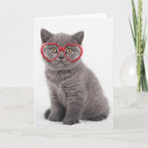 Cutest Baby Animals Kitten Heart Glasses Card