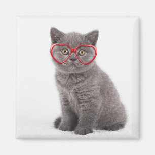 Cutest Baby Animals Kitten Heart Glasses Magnet