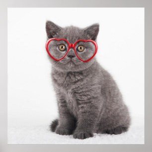 Cutest Baby Animals   Kitten Heart Glasses Poster