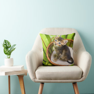 Cutest Baby Animals Kitten in Basket Cushion