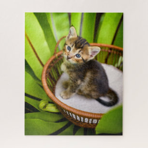 Cutest Baby Animals   Kitten in Basket Jigsaw Puzzle