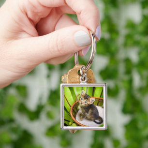 Cutest Baby Animals Kitten in Basket Key Ring