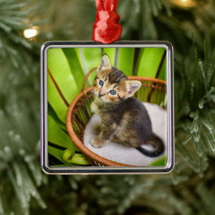 Cutest Baby Animals   Kitten in Basket Metal Ornament