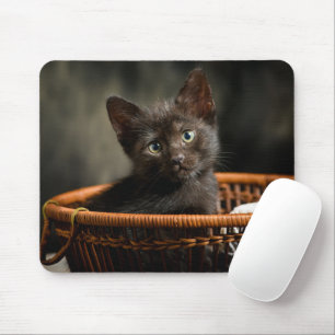 Cutest Baby Animals   Kitten in Basket Mouse Pad