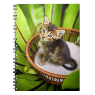 Cutest Baby Animals Kitten in Basket Notebook