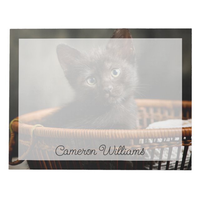 Cutest Baby Animals | Kitten in Basket Notepad (Front)