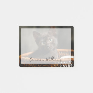 Cutest Baby Animals Kitten in Basket Post-it Notes