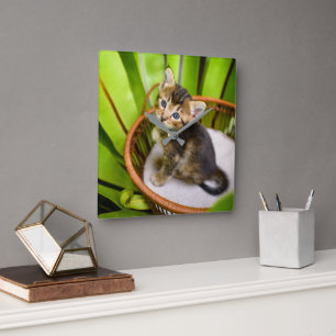 Cutest Baby Animals Kitten in Basket Square Wall Clock