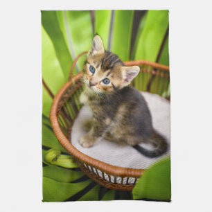Cutest Baby Animals Kitten in Basket Tea Towel