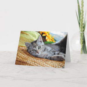 Cutest Baby Animals Kitten Lounging Card