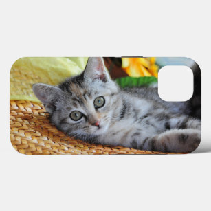 Cutest Baby Animals   Kitten Lounging iPhone 13 Case