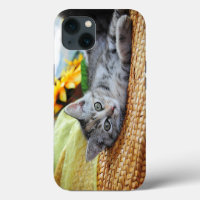 Cutest Baby Animals | Kitten Lounging