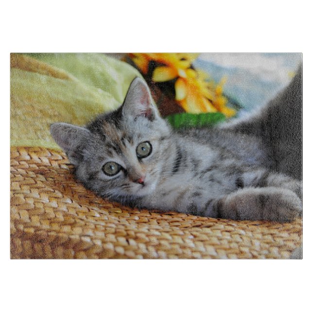 Cutest Baby Animals | Kitten Lounging Cutting Board (Front)