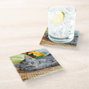 Cutest Baby Animals Kitten Lounging Glass Coaster