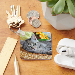 Cutest Baby Animals   Kitten Lounging Key Ring