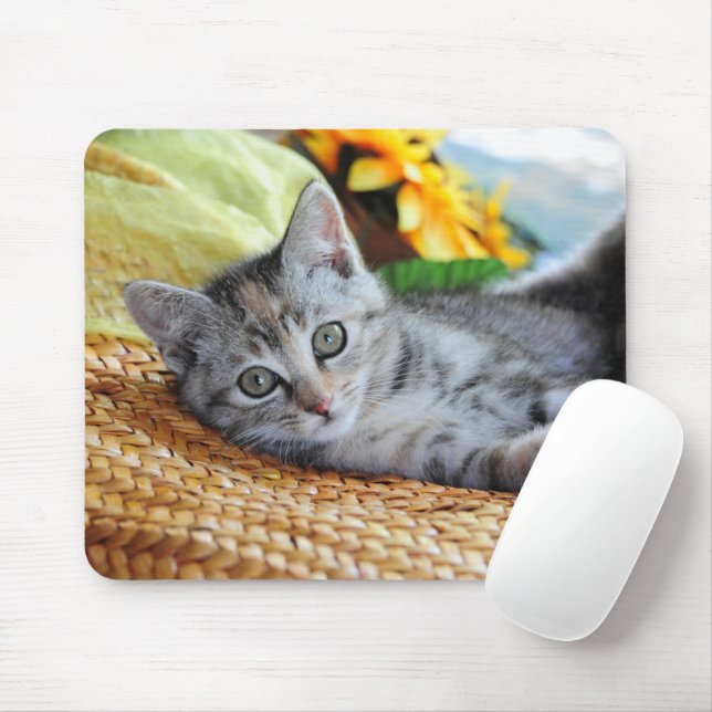 Cutest Baby Animals | Kitten Lounging Mouse Pad (With Mouse)