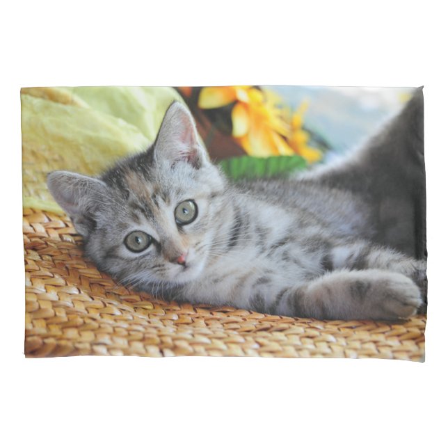 Cutest Baby Animals | Kitten Lounging Pillowcase (Front)
