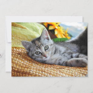 Cutest Baby Animals   Kitten Lounging Thank You Card