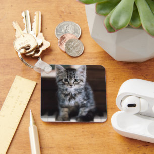 Cutest Baby Animals Kitten on Piano Keys Key Ring