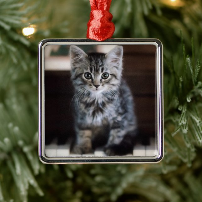 Cutest Baby Animals | Kitten on Piano Keys Metal Ornament (Tree)