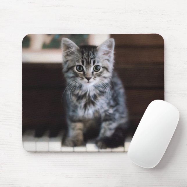 Cutest Baby Animals | Kitten on Piano Keys Mouse Pad (With Mouse)