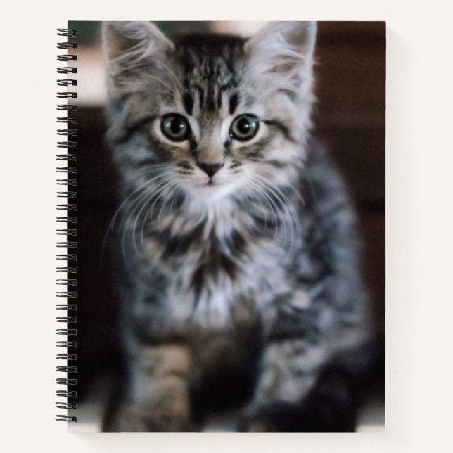 Cutest Baby Animals | Kitten on Piano Keys Notebook (Front)