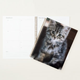 Cutest Baby Animals Kitten on Piano Keys Planner