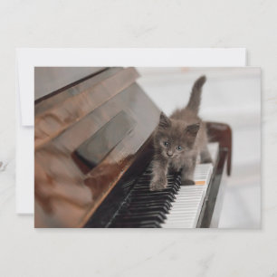 Cutest Baby Animals   Kitten on Piano Thank You Card