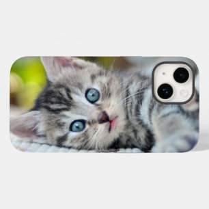 Cutest Baby Animals   Kitten With Blue Eyes Case-Mate iPhone 14 Case