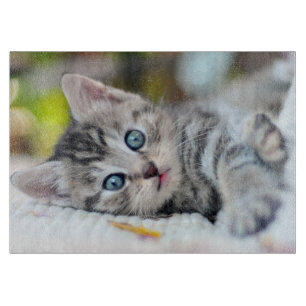 Cutest Baby Animals   Kitten With Blue Eyes Cutting Board