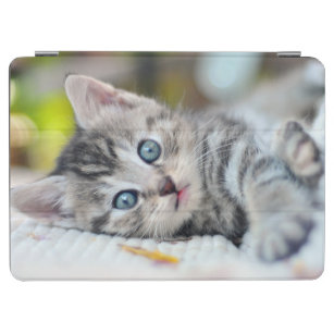Cutest Baby Animals   Kitten With Blue Eyes iPad Air Cover