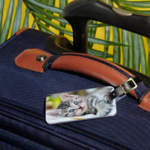 Cutest Baby Animals   Kitten With Blue Eyes Luggage Tag
