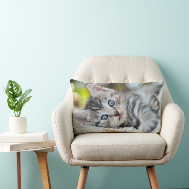 Cutest Baby Animals | Kitten With Blue Eyes Lumbar Cushion (Chair)