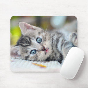 Cutest Baby Animals Kitten With Blue Eyes Mouse Pad