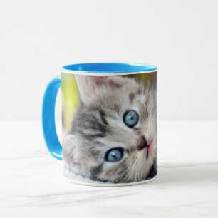 Cutest Baby Animals   Kitten With Blue Eyes Mug