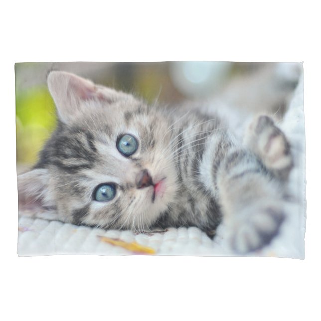 Cutest Baby Animals | Kitten With Blue Eyes Pillowcase (Front)