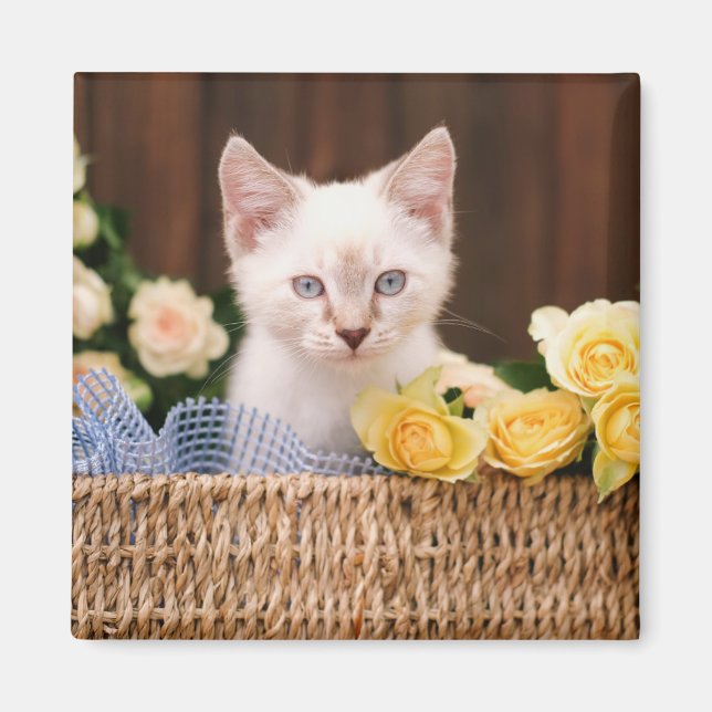 Cutest Baby Animals | Kitten & Yellow Roses Magnet (Front)