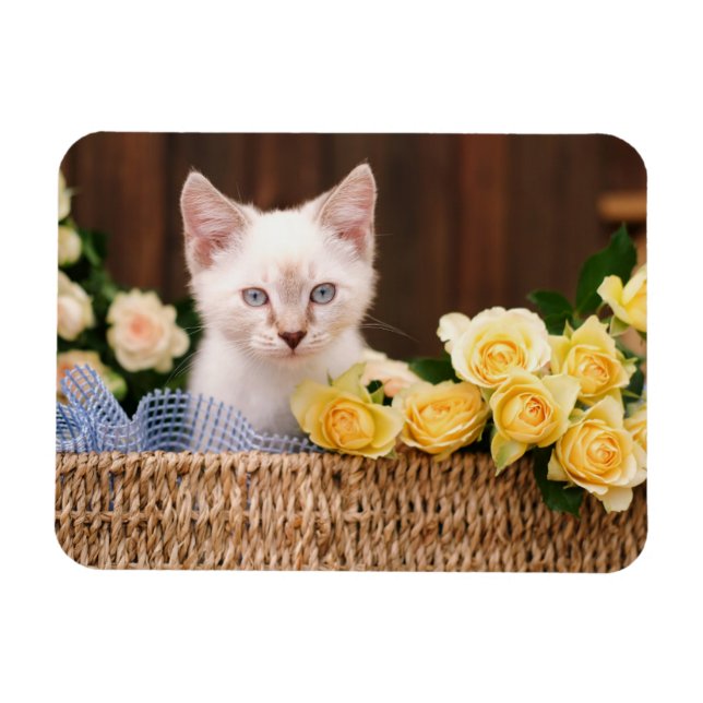 Cutest Baby Animals | Kitten & Yellow Roses Magnet (Horizontal)