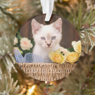 Cutest Baby Animals   Kitten & Yellow Roses Ornament