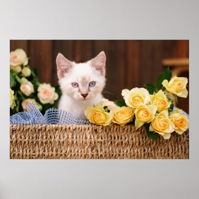 Cutest Baby Animals | Kitten & Yellow Roses Poster (Front)