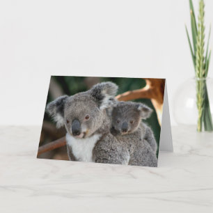 Cutest Baby Animals   Koala and Joey Card