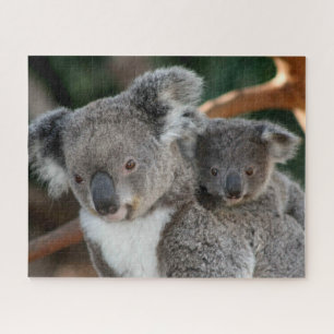 Cutest Baby Animals   Koala and Joey Jigsaw Puzzle