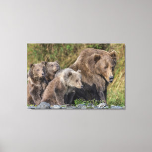 Cutest Baby Animals Kodiak Mama Bear & Cubs Canvas Print