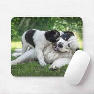 Cutest Baby Animals Landseer Puppy Mouse Pad