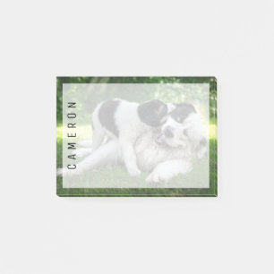 Cutest Baby Animals Landseer Puppy Post-it Notes