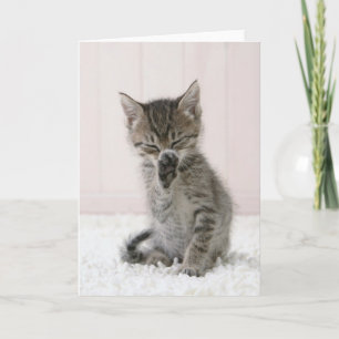 Cutest Baby Animals Licking Tabby Kitten Card