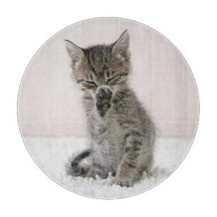 Cutest Baby Animals Licking Tabby Kitten Cutting Board